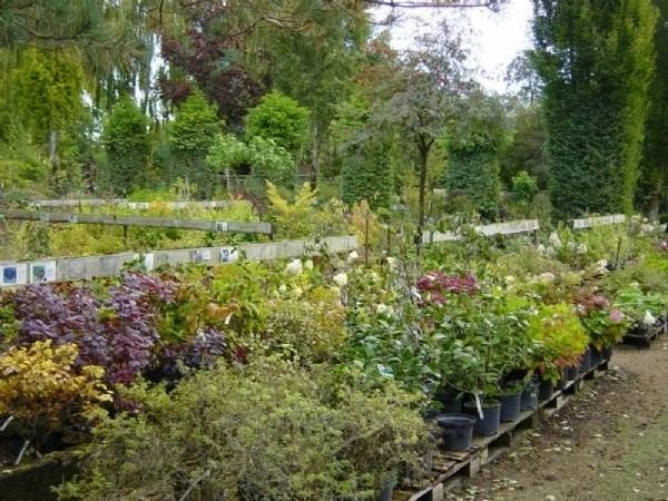 Havevandring i Planteskolen Guldbjergs private have.