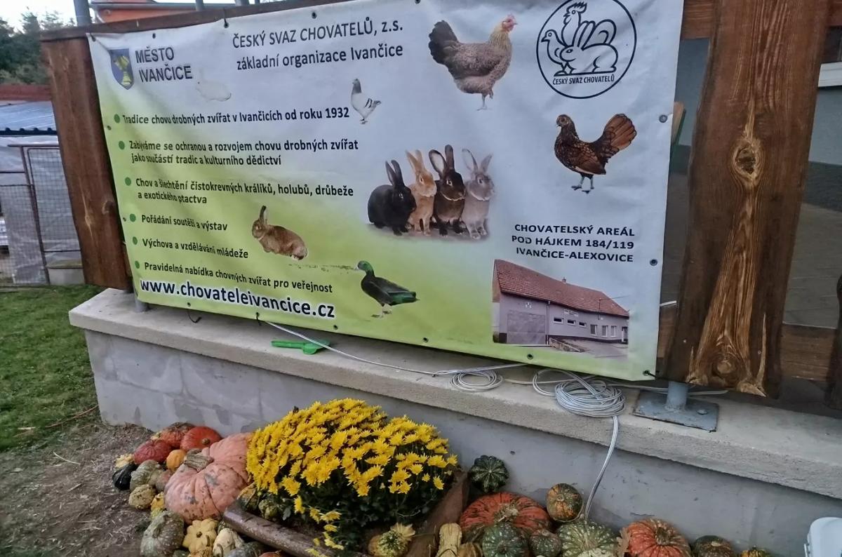 Pouťová výstava drobných zvířat v Ivančicích