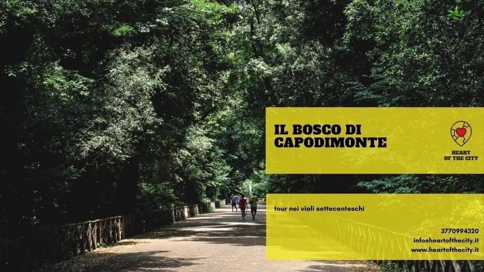 Tour nel Bosco di Capodimonte