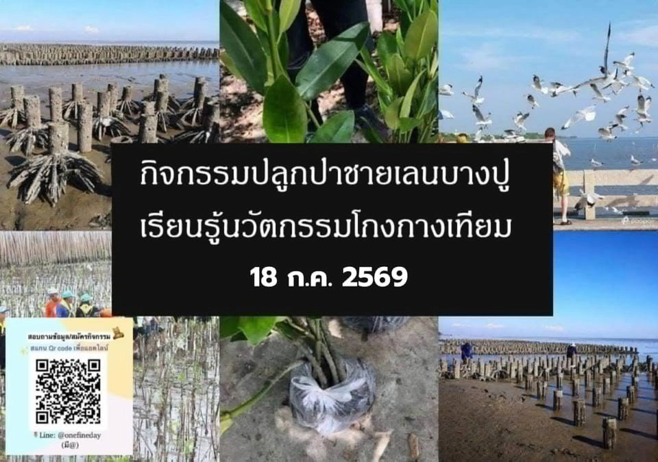 ปลูกป่าชายเลนบางปู รุ่น 40