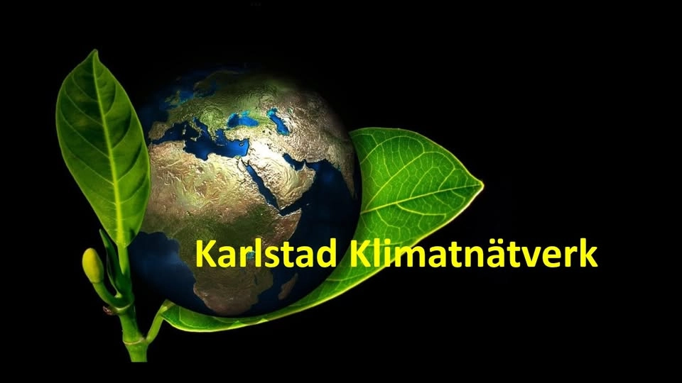 DEMONSTRATION Klimatåtgärder NU! Rädda det vi älskar!