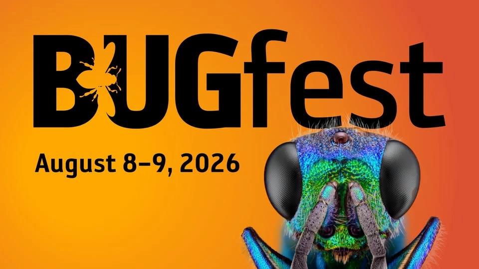 BugFest
