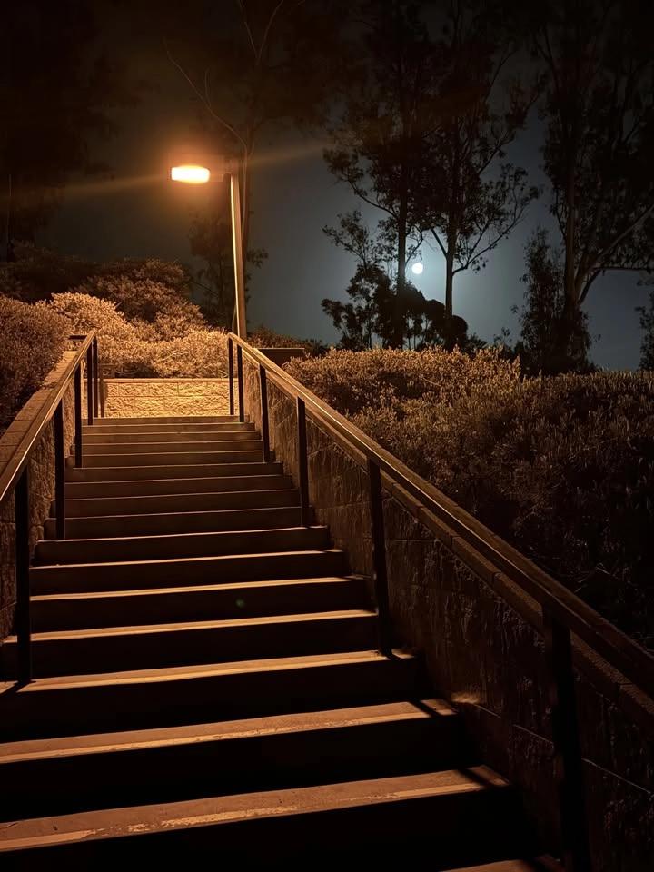 Friday Night Park Workout