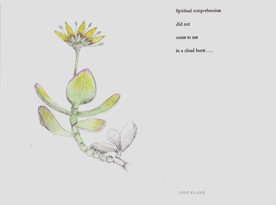 Esther Ervin: Gardening for the Soul