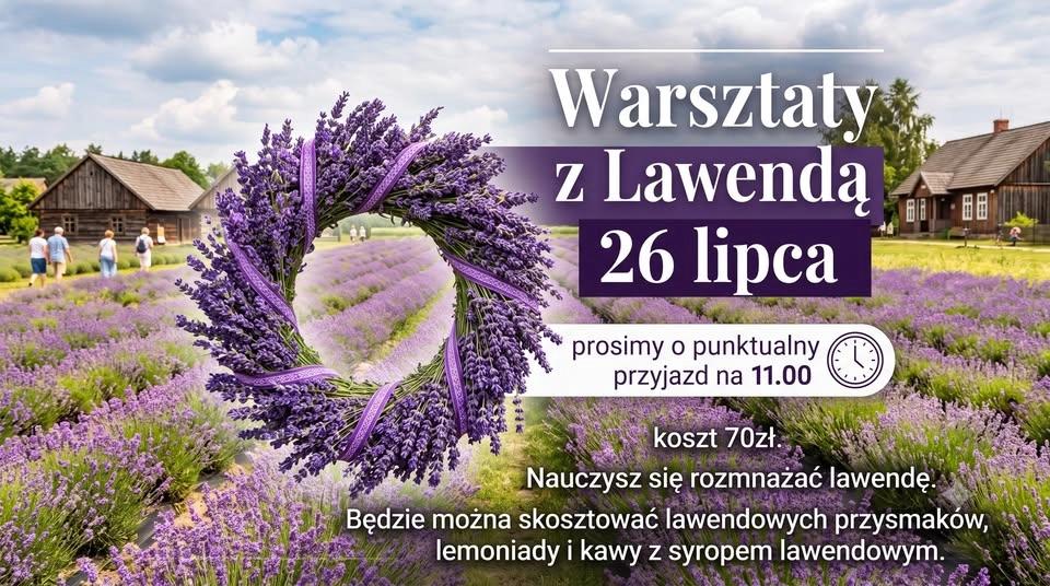 Warsztaty z lawendą