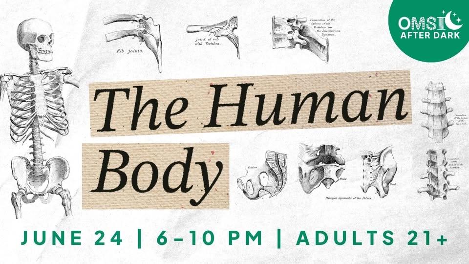 OMSI After Dark: The Human Body