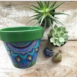 Plant and Pot Succulents