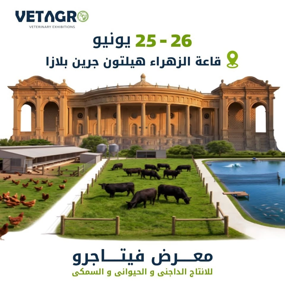 ڤيتاجرو الاسكندريه
