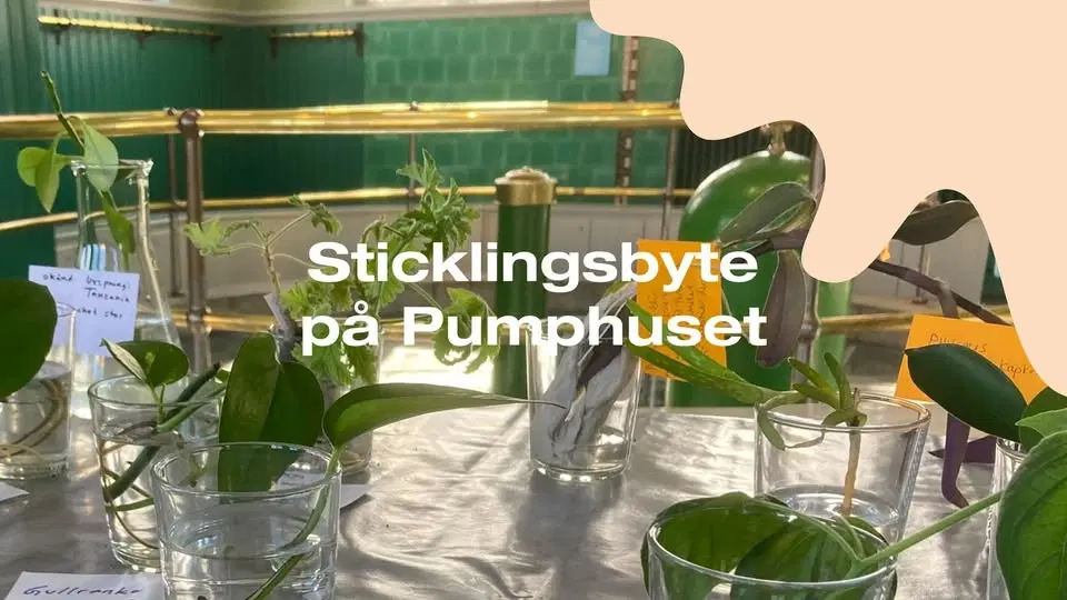Ge en stickling, få en stickling - under påsklovet