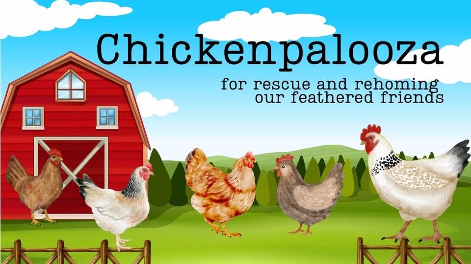 CHICKENPALOOZA! An event to support Red Clover Farms chicken rescue and rehoming