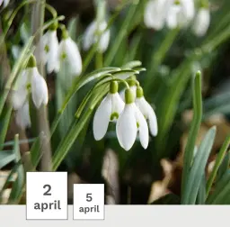 ✨🐣 Välkommen till Påsklabbet på Gustavianum! 🐣✨