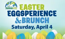 Easter Eggsperience and Brunch - SOLD OUT