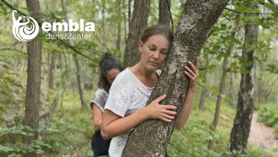 Träd i tid och rörelse