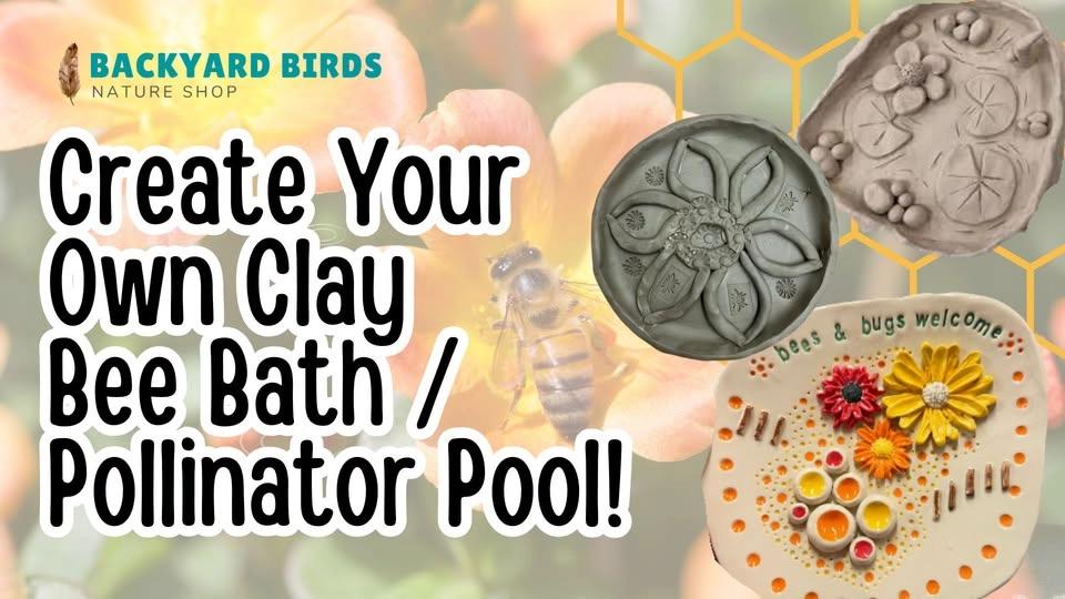 Create Your Own Clay Bee Bath/Pollinator Pool!