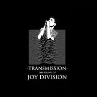 Transmission, Joy Division Tribute. Live at Empire Rochdale