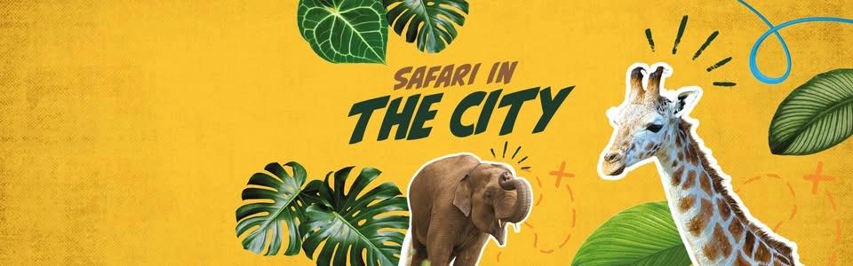 Safari Live