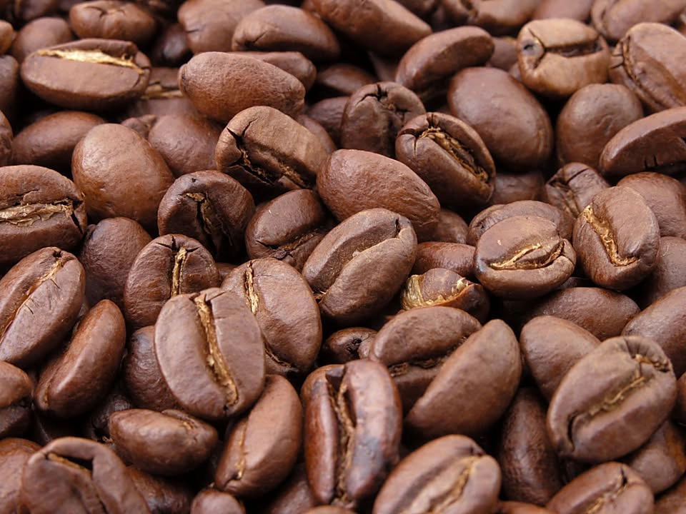 Dokumentera Lindvalls kaffe
