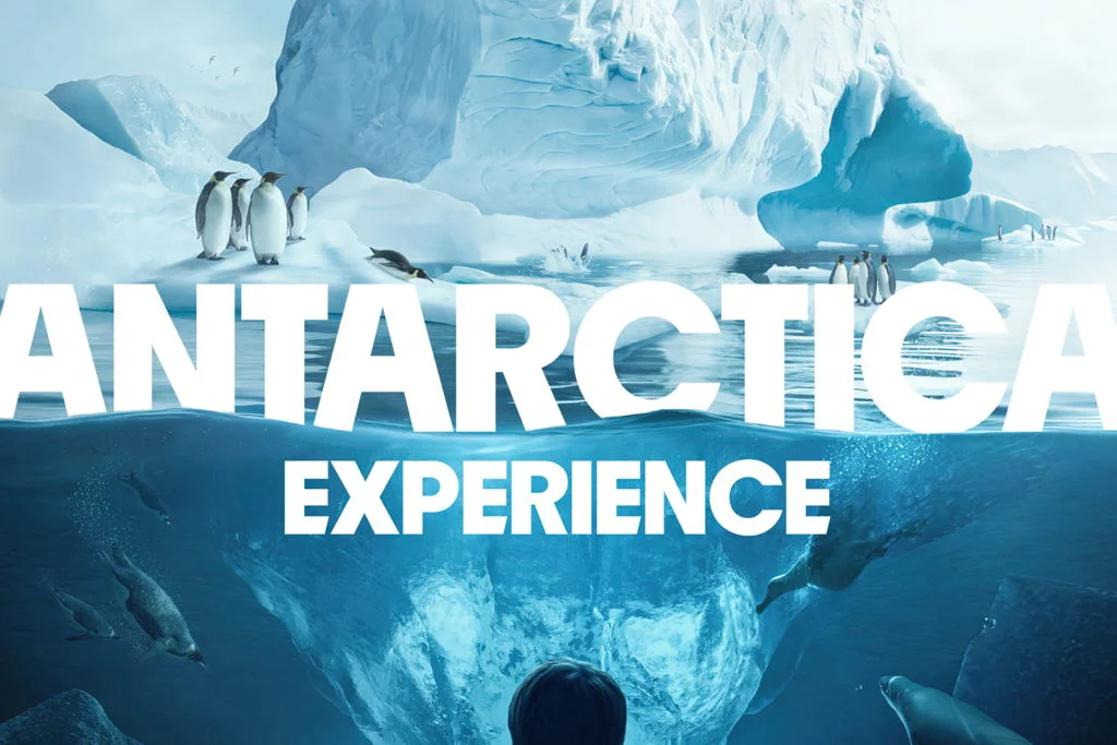 Antarctica Experience