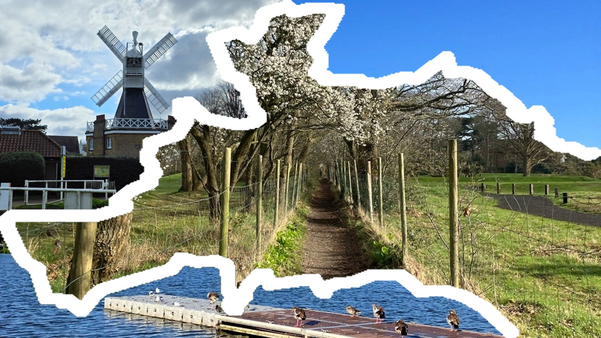 🟢🚶🏾♂️Walk: Wimbledon Park to Wimbledon via Wimbledon Common/Village