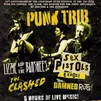 Sex Pistols Exposé/ Lizzie & The Banshees/ Clashed/ Damned Ruts