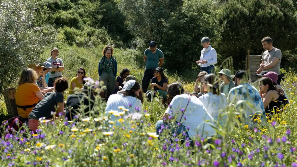 Parque Bela Vista: Weekly FastForest® Meetup