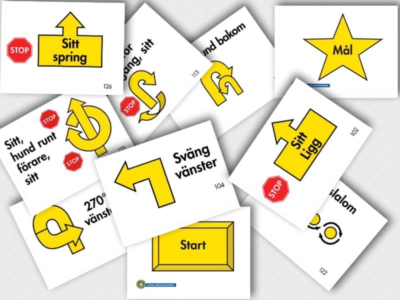 Rallylydnad Grundkurs DAGTID