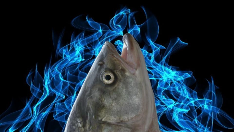 Wijkmanska Blecket 45års-jubileum