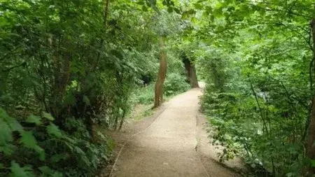 GREEN £5 WALK - 🌳🌲💧🌱 MONKEN HADLEY WOOD.