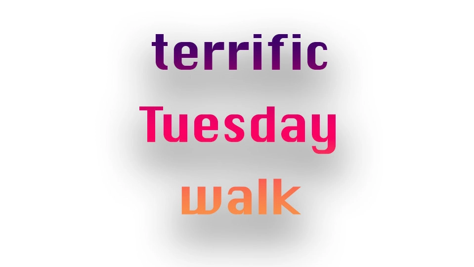 terrific Tuesday walk