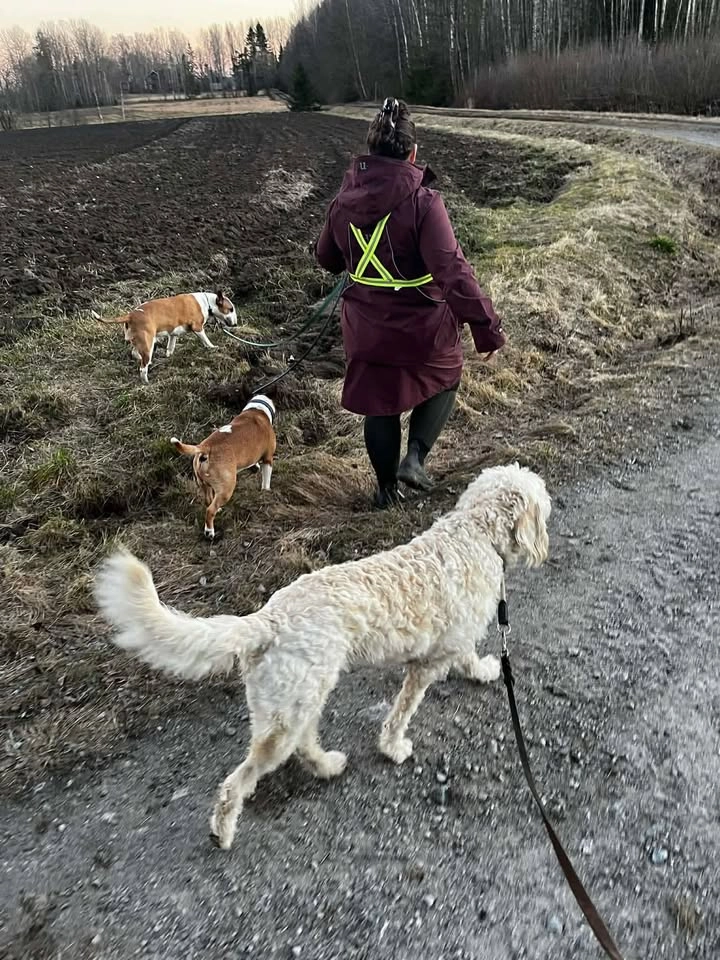 Aprilbullepromenad - Göteborg