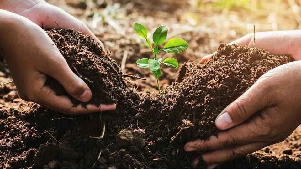 DIGGING INTO SOIL