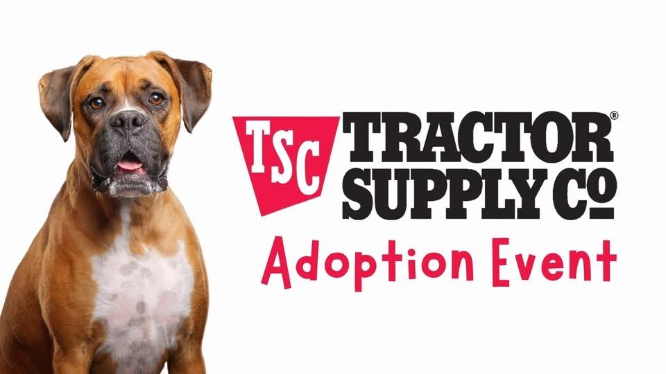 Milford Tractor Supply Co Adoption Event