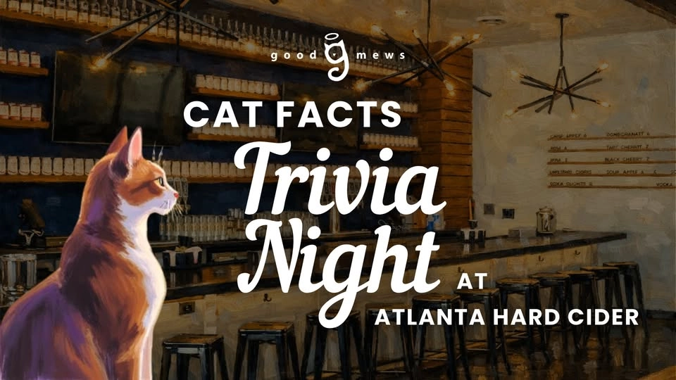 Cat Facts Trivia Night