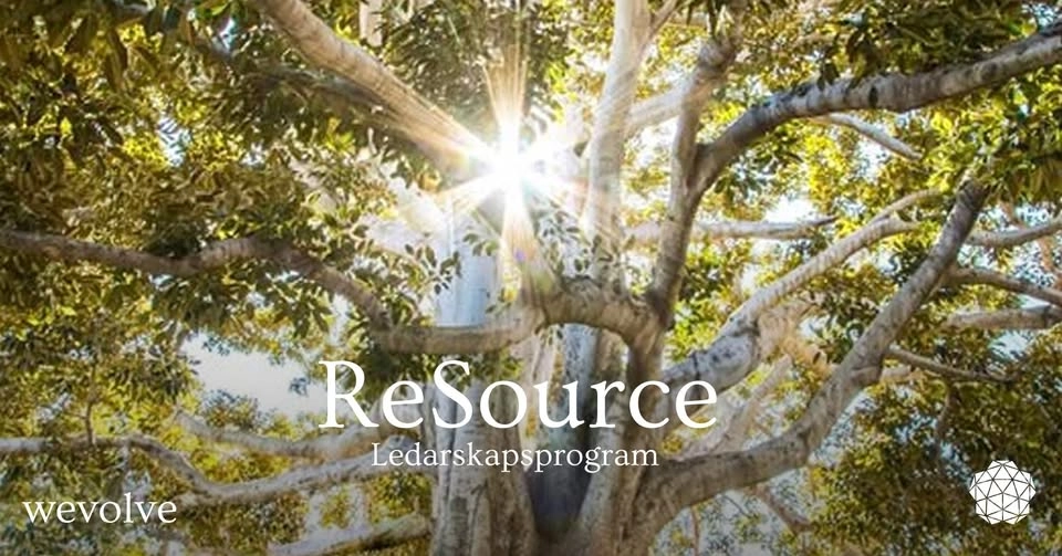ReSource ledarskapsprogram - fysisk infoträff
