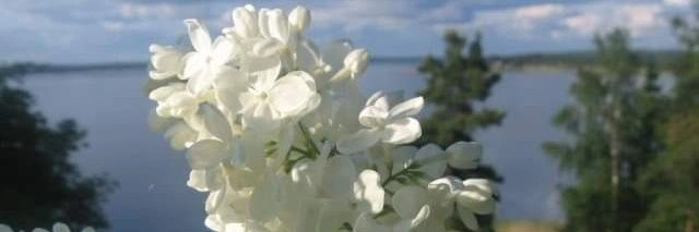 Vi sjunger in våren