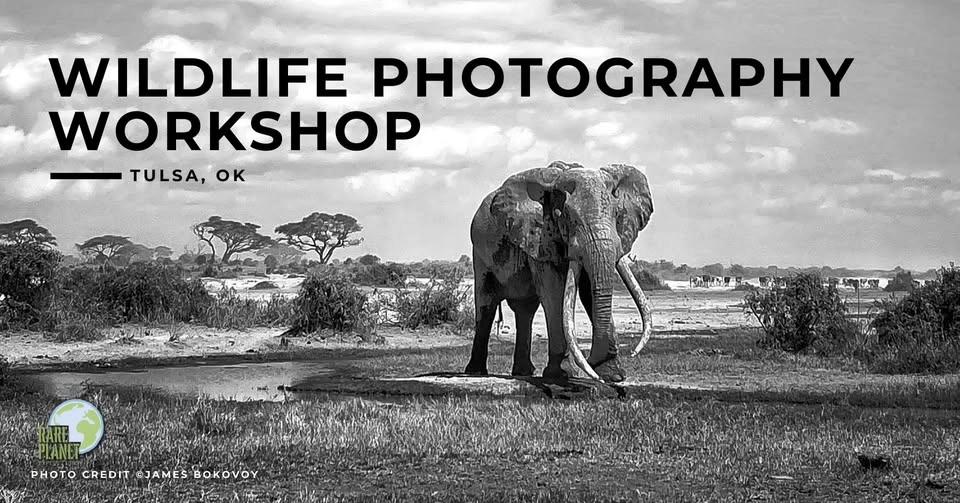 Wildlife Photography Workshop - Tulsa
