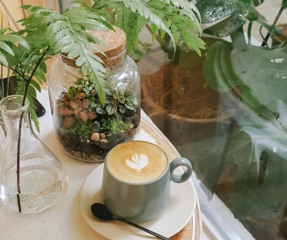 Atelier Terrarium & Petit Déjeuner — Nexus Barista × Vegetalika
