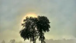 Musikcaféserien - Ett abonnemang