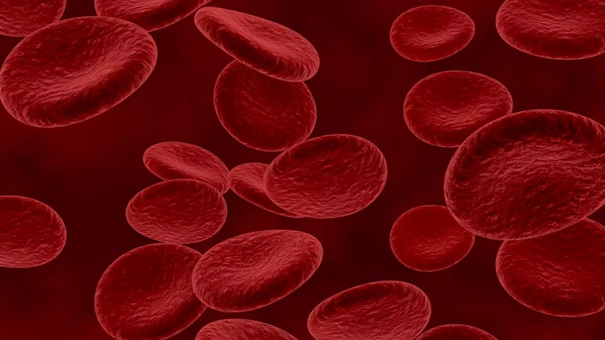3rd International Conference on Hematology and Blood Disorders