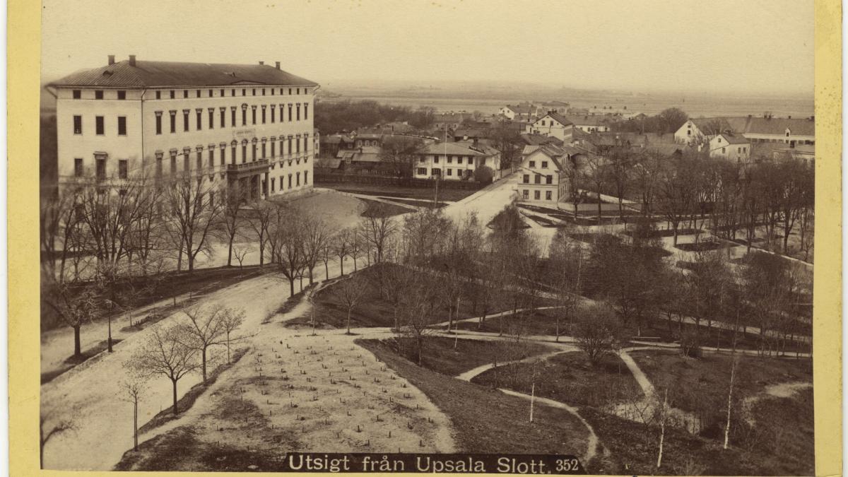 Visning: Historiska Uppsalavyer