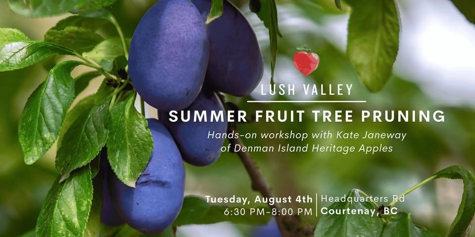 Summer Fruit Tree Pruning with Kate Janeway