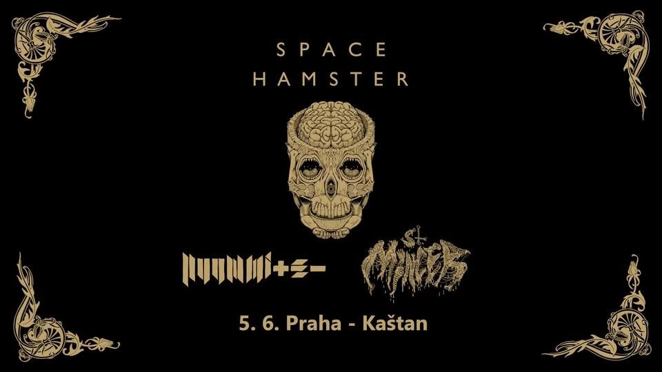Space Hamster ✴ Nuummite ✴ St. Mincer