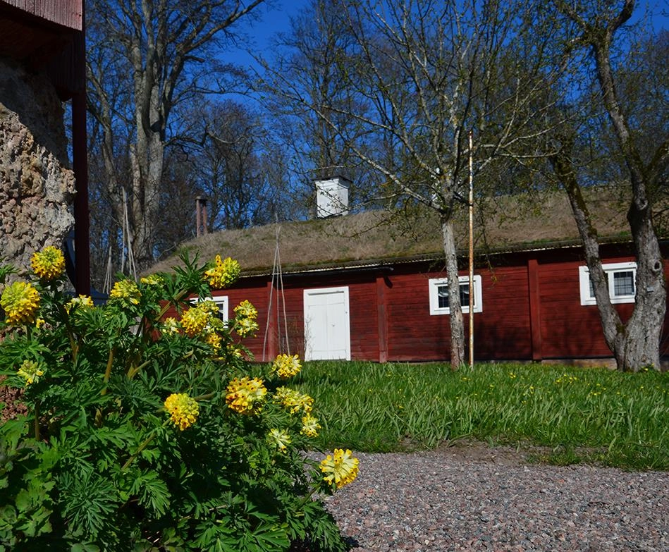 Hammarbydagen