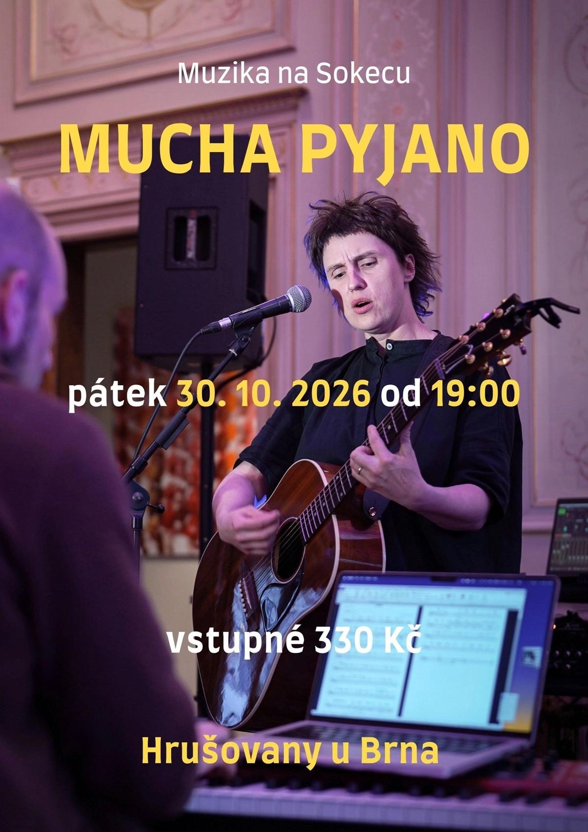 Muzika na Sokecu: MUCHA PYJANO