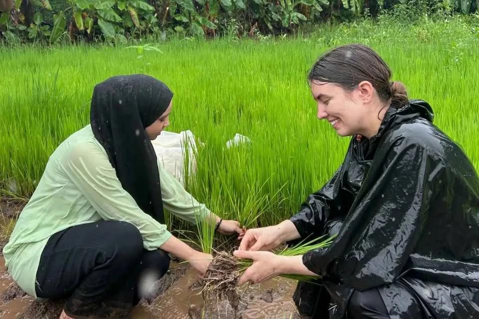 Bhaat Laavni - Rice Farming with the Adivasis in Mumbai