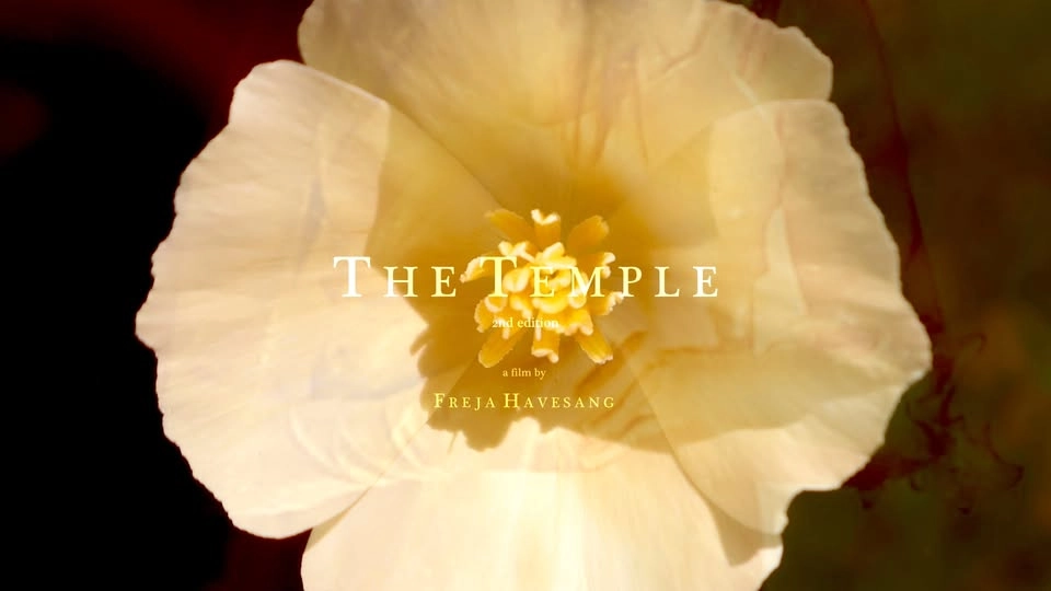 Öppen salong: The Temple, 2nd Edition