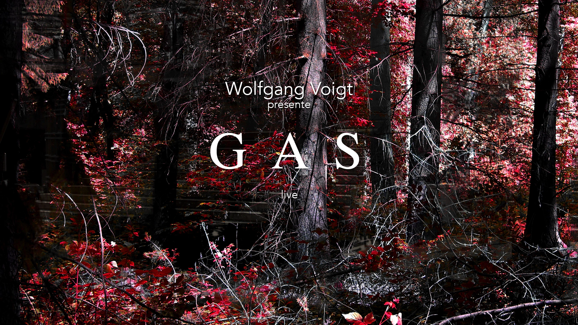Wolfgang Voigt présente GAS Live