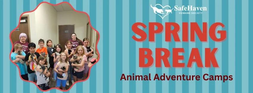 Animal Adventure Camp