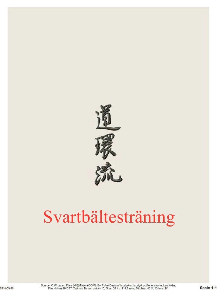 Svartbältesträning Yudanshakai