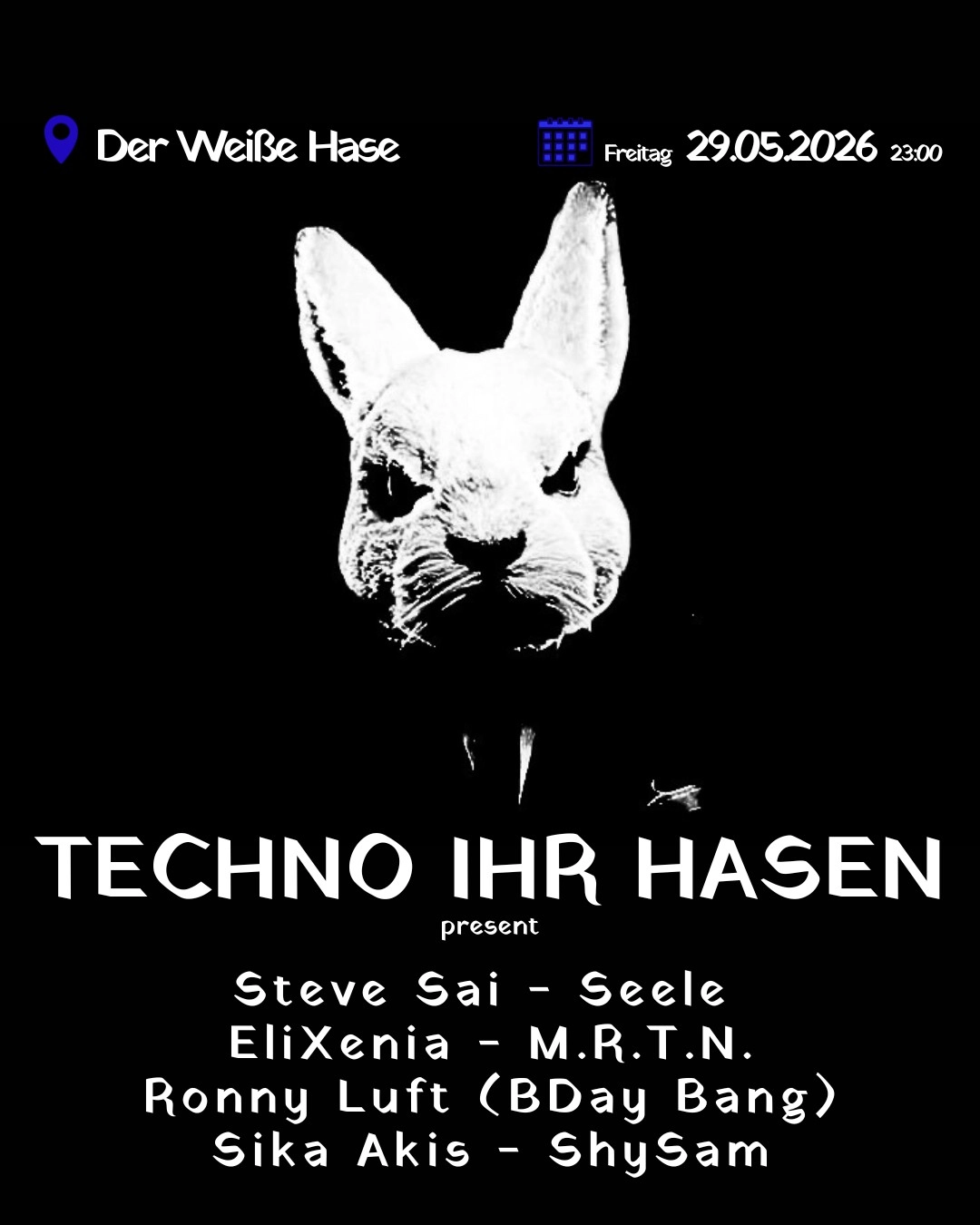 Techno Ihr Hasen